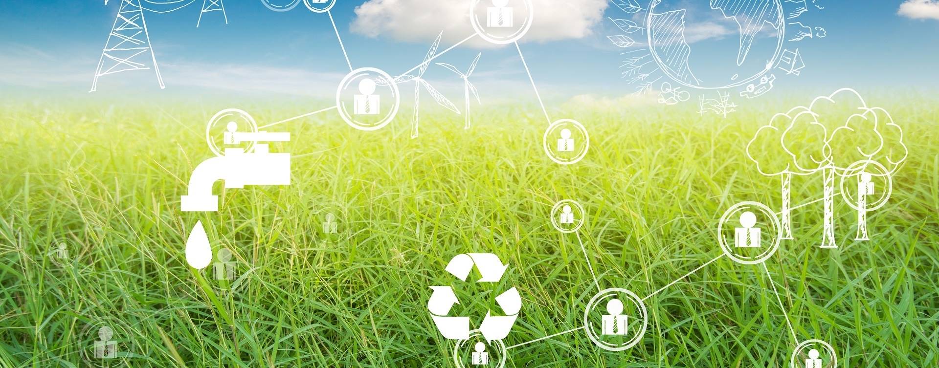 Valio anuncia meta de ser neutra em carbono até 2035
