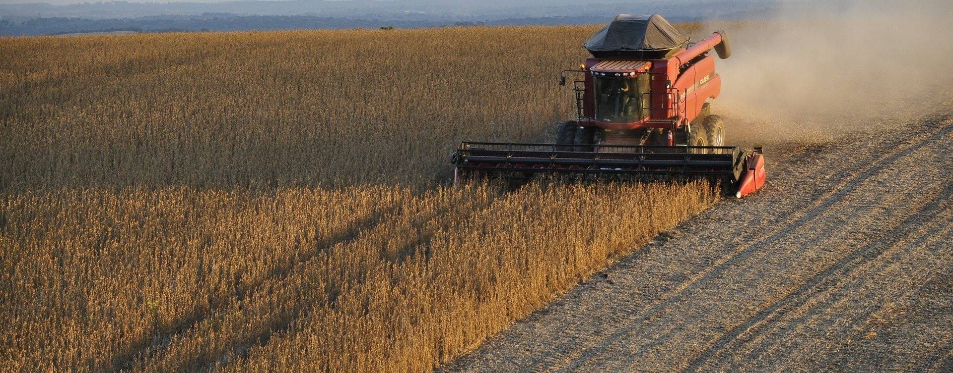 Brasil elevará exportação de soja em 2020