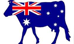Austrália: novo plano ajudará a recuperar lucratividade, confiança e a unidade da indústria láctea