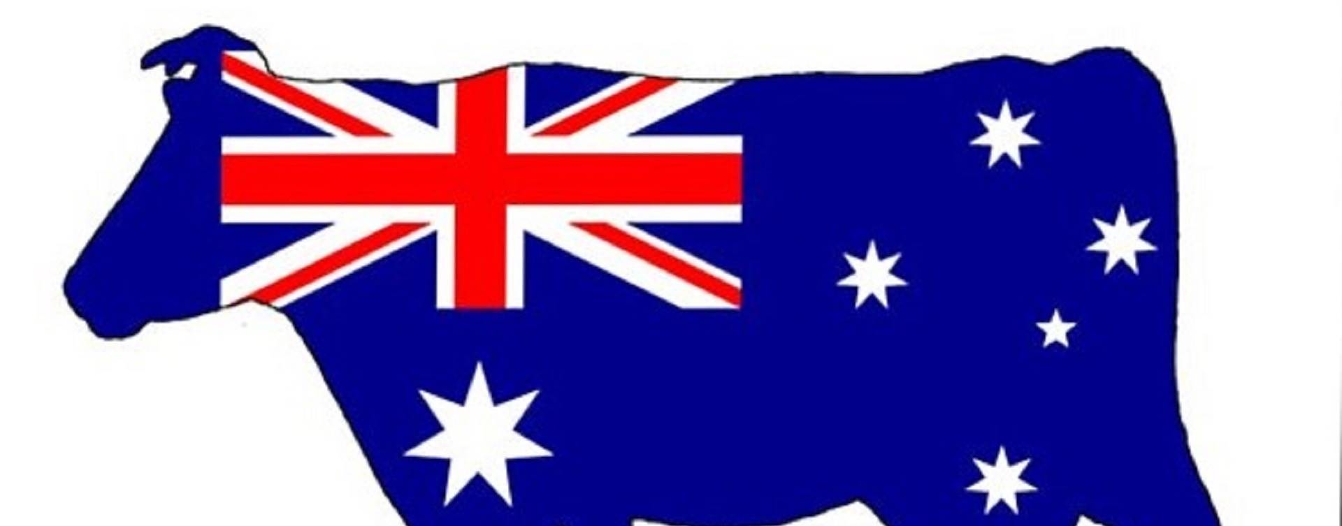 Austrália: novo plano ajudará a recuperar lucratividade, confiança e a unidade da indústria láctea
