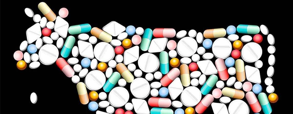 Pesquisadora da UFV descobre que bactérias do rúmen são resistentes a diversos antibióticos