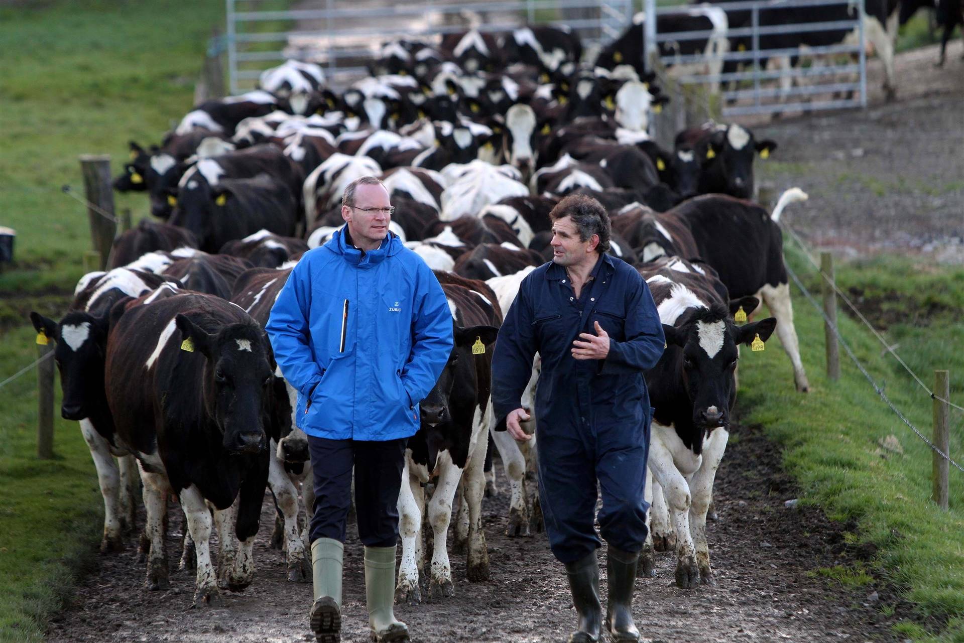EUA: mais de 800 fazendas leiteiras de Wisconsin fecharam em 2019