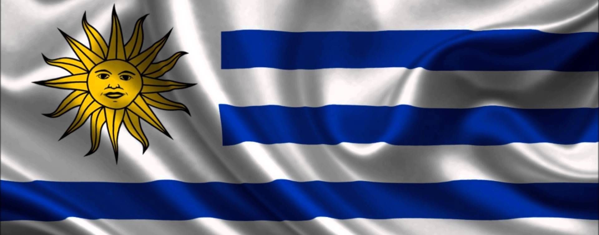 Olam Uruguay reduzirá operações em laticínios locais