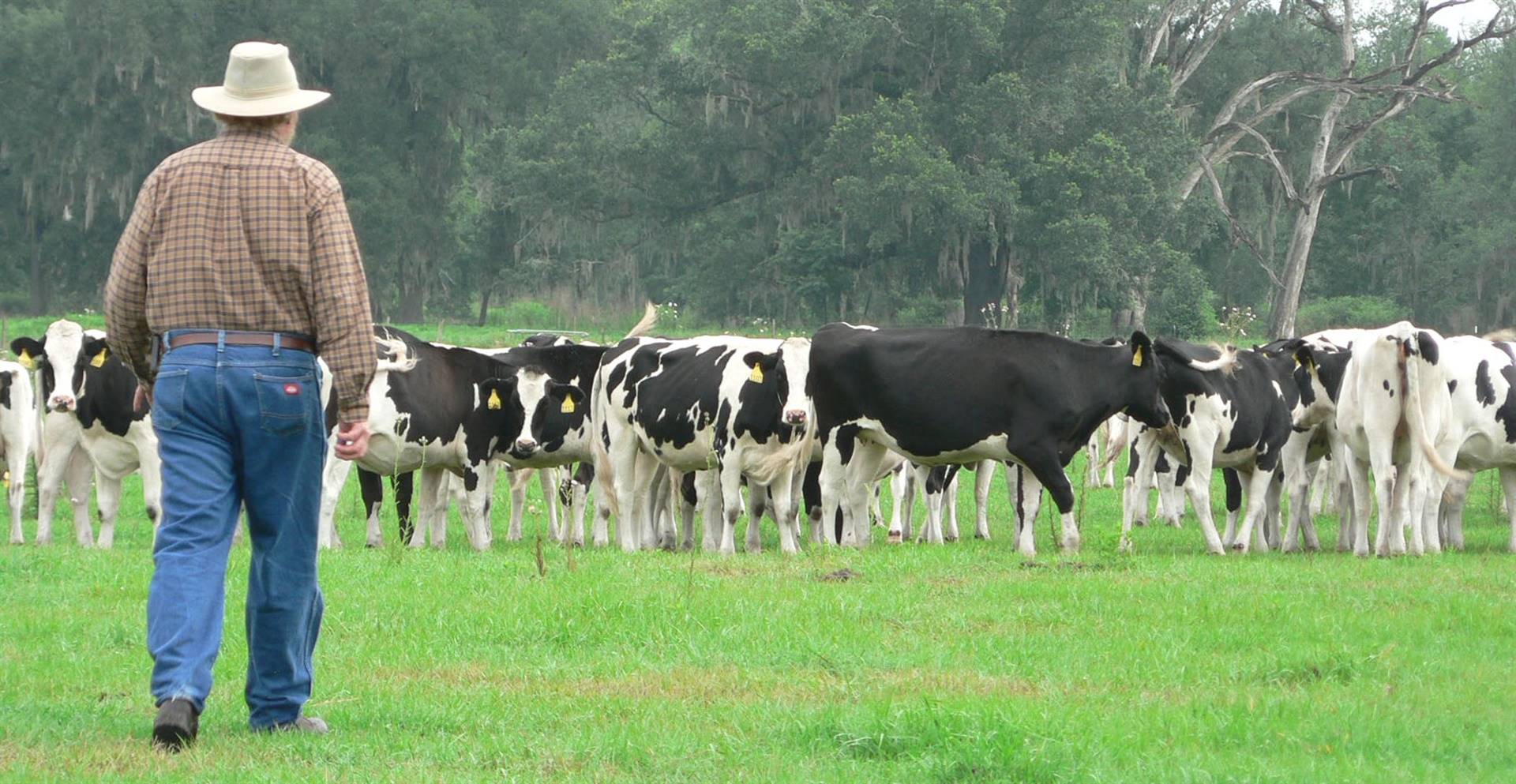 MT: produtores do Oeste ameaçam greve se preço não melhorar