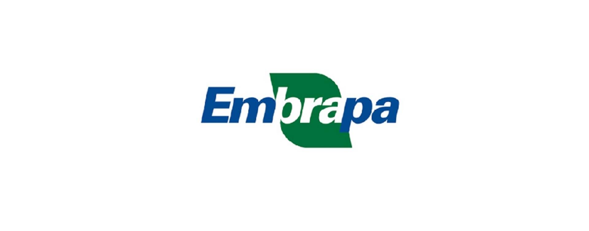 "Agropecuária é o setor mais disruptivo da economia brasileira", diz presidente da Embrapa