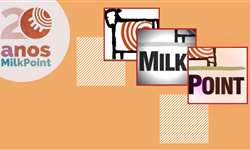 #MilkPoint20anos: você se lembra como eram os antigos layouts do site?