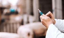 UE lança regulamento sobre medicamentos veterinários
