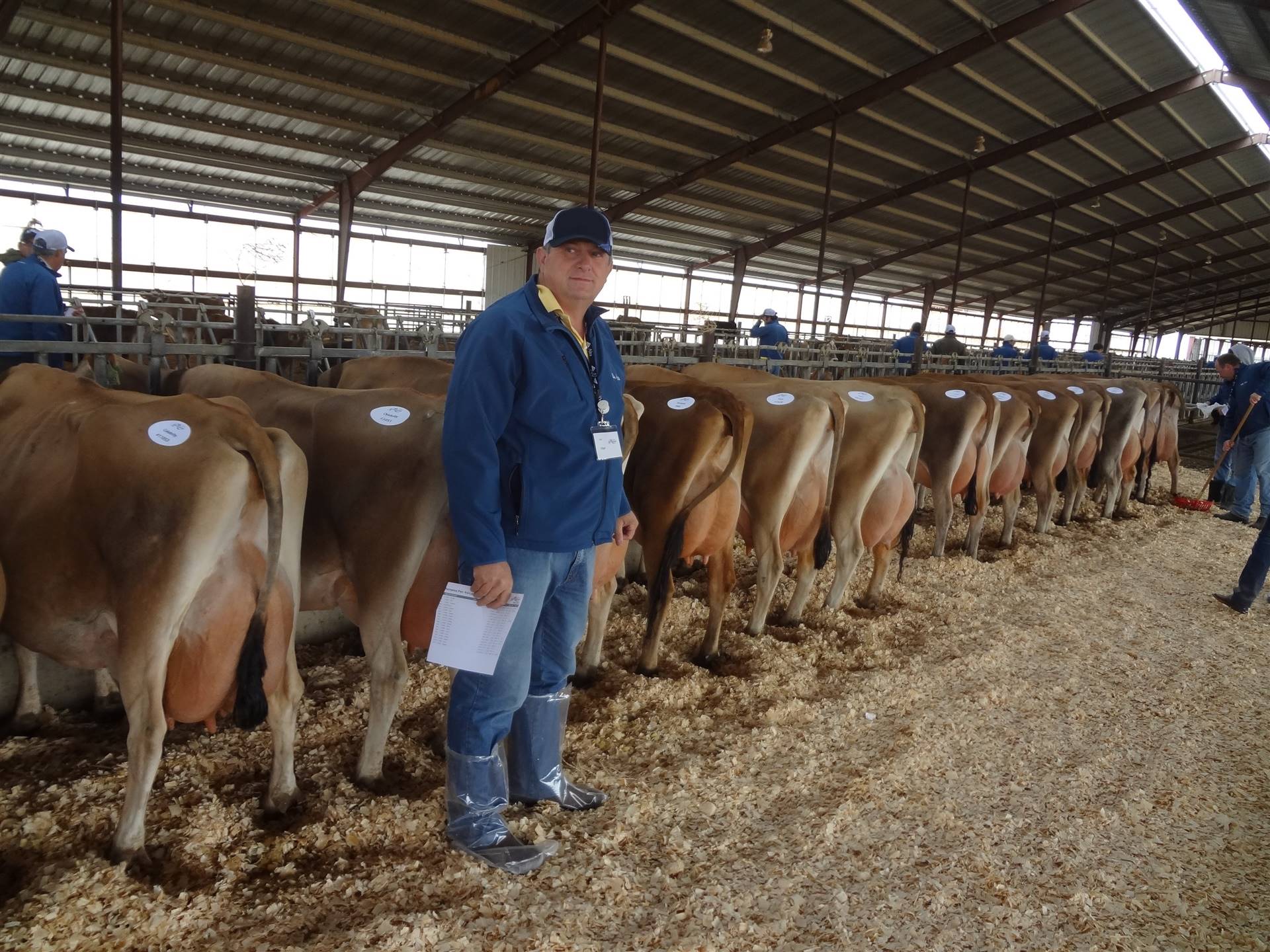 Respeitar o período seco entre lactações gera renda maior, indica veterinário