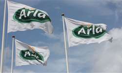 Arla Foods investirá 619 milhões de euros em grandes projetos este ano