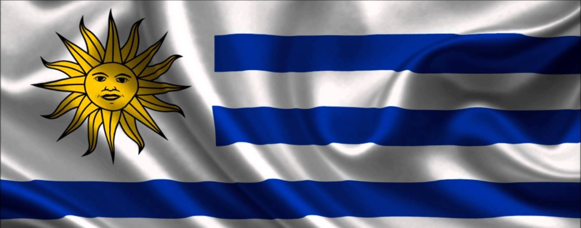 Faturamento do setor leiteiro uruguaio caiu US$ 66 milhões em 2019