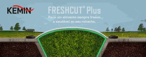 Utilização de ácidos orgânicos na conservação de alimentos para vacas leiteiras