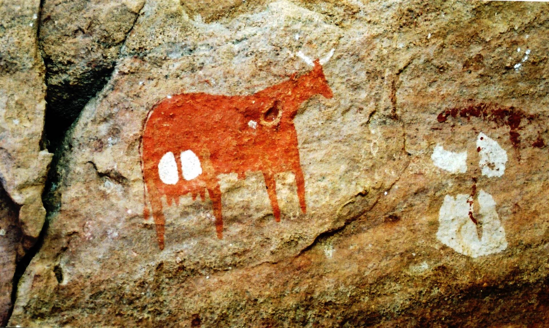 Cientista identificam consumo de lácteos há 5000 anos leste da Eurásia