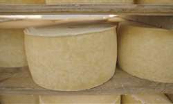 MG: Emater conclui estudos de caracterização do queijo artesanal da Serra da Mantiqueira