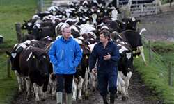 Que medidas tomar na fazenda leiteira contra a ameaça do coronavírus?