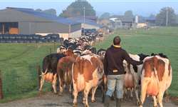 Biosseguridade nas fazendas leiteiras em época de coronavírus