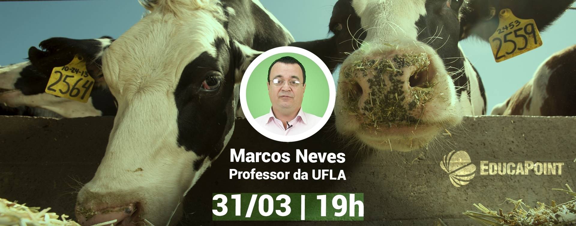 Aditivos alimentares: 4 fatores essenciais que devem ser considerados