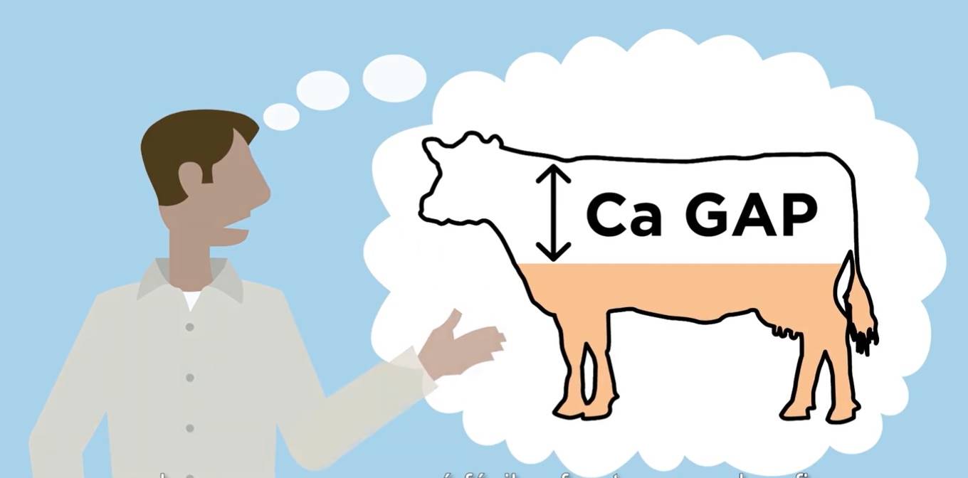 Como o HyD pode ajudar a  enfrentar os desafios do periparto e garantir mais saúde e produtividade?