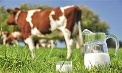 SC: assistência técnica do Senar aumenta produtividade de leite