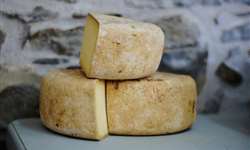 Produção artesanal de queijos: alternativa para pequenos produtores de leite
