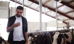 Aplicativos e Startups: ferramentas valiosas para a bovinocultura de leite