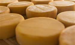 MG: governo reconhece Alagoa e Mantiqueira de Minas como regiões produtoras de queijo artesanal