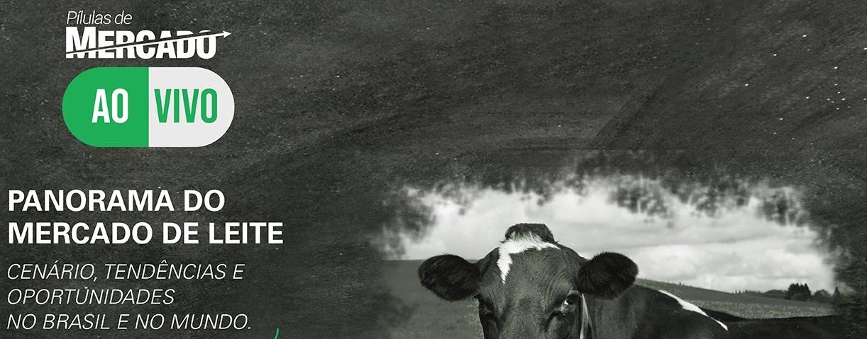 Pílulas de Mercado AO VIVO será realizado no dia 07 de julho!