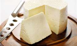 Sai a gordura mas fica o sabor! Confira o 1º relato do uso de inulina em queijo de ovelha frescal