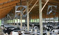 Relação horas/dia em estresse térmico e desempenho das vacas