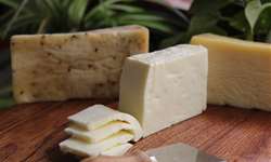 Produção de queijo: incremento para a renda do agricultor familiar