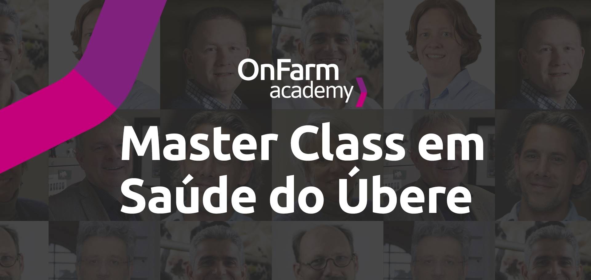 O conhecimento sem barreiras