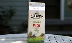 Laticínio americano lança leite que ajuda na saúde do cérebro