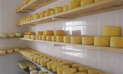 Alto Paranaíba/MG: suporte logístico expandirá comercialização das queijarias