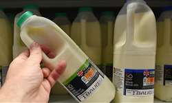 Reino Unido registra aumento da venda de lácteos durante a pandemia