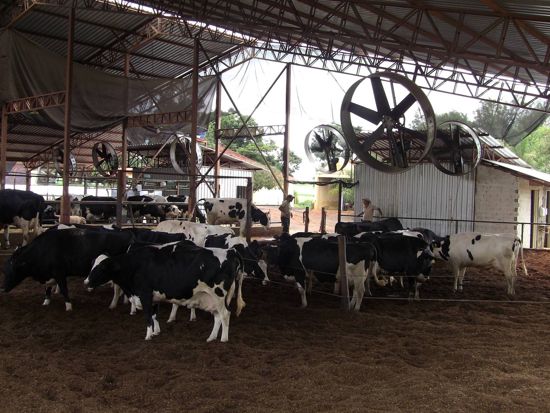 O que é Compost Barn?