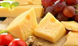 Como a espécie animal afeta as características sensoriais dos queijos?