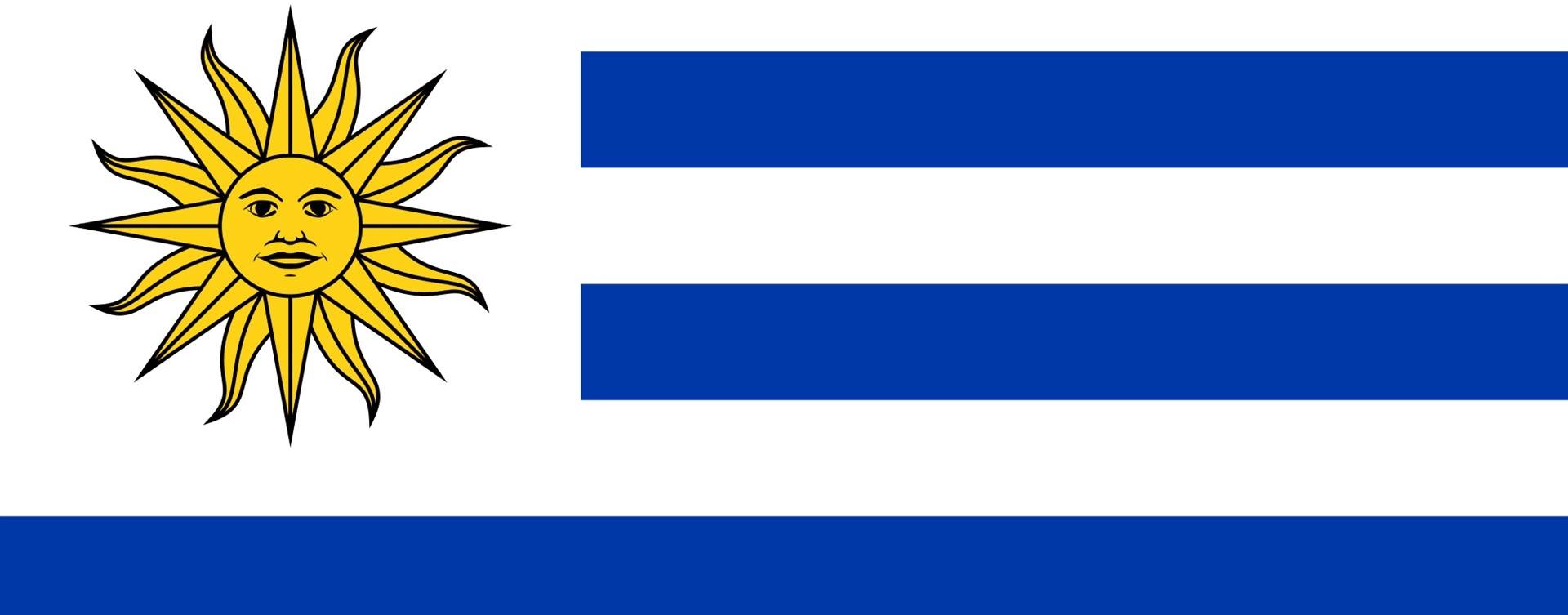 Rebanho leiteiro do Uruguai cresceu 8%