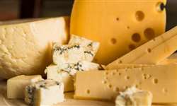 A importância da salga na fabricação de queijos