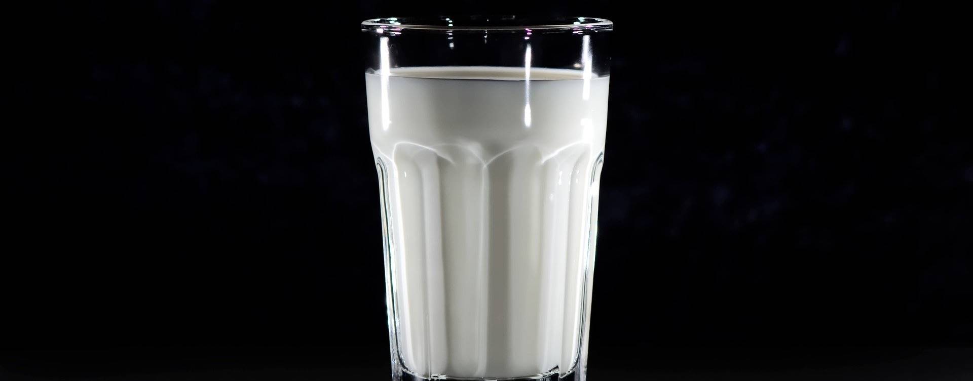 O leite de vaca feito sem vacas