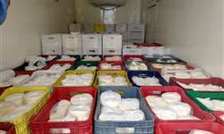 SP: 3,1 toneladas de queijo impróprios para consumo são apreendidos