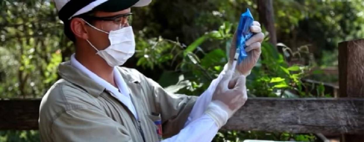 PR proíbe entrada de fêmeas sem vacina contra brucelose
