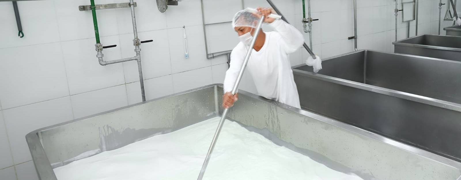 Queijarias flutuantes: produção de queijo segue em expansão no Amazonas