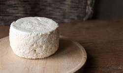 PR: produtores de queijo de cabra aumentam oferta para atender consumo em alta