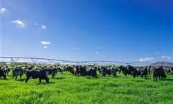 Especial NE: NZ Agropecuária, umas das 20 maiores propriedades leiteiras do Brasil