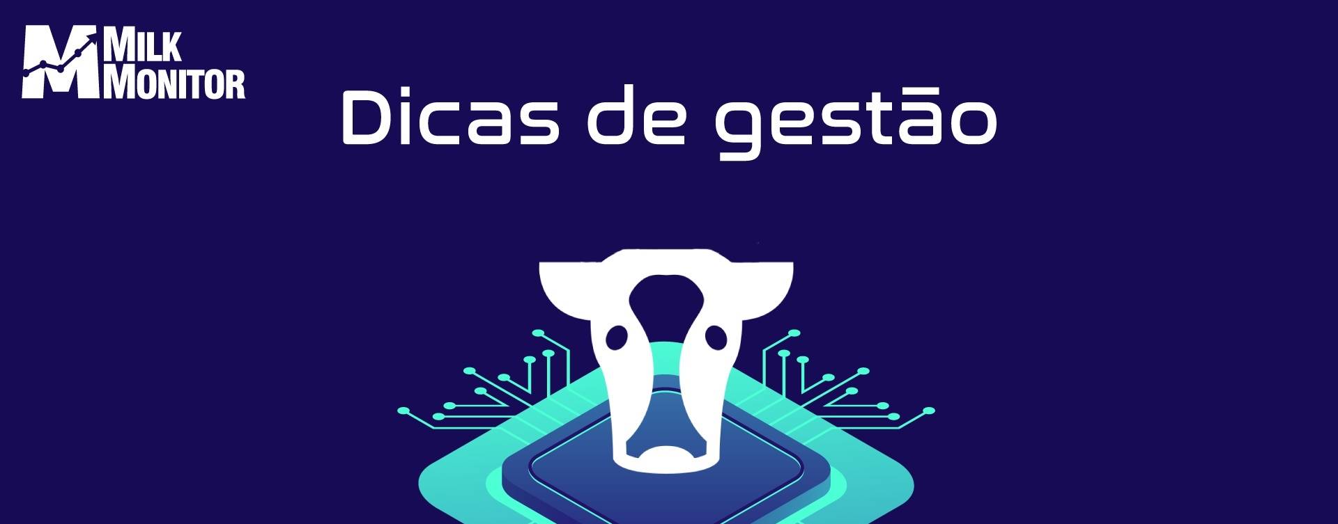 Dicas de Gestão: fatores relevantes para plantação de silagem