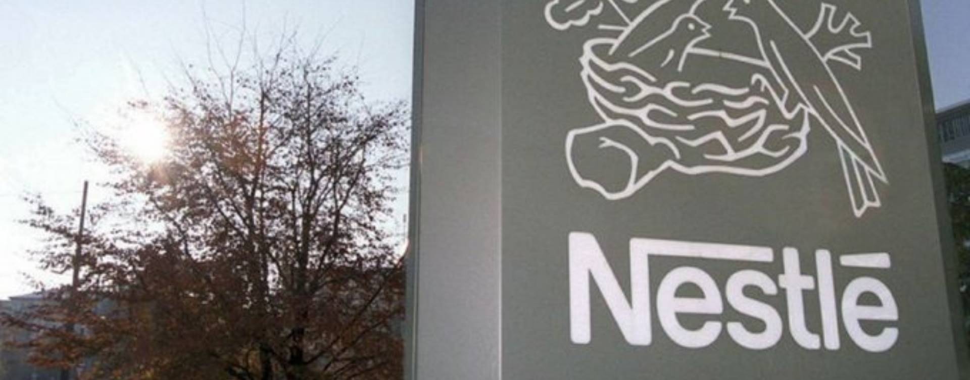 Nestlé anuncia lançamento do conceito plant based nas linhas de leite em pó Molico e Ninho