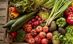 Alimentos orgânicos: tendência de consumo cresce durante a pandemia
