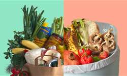 Política para redução de desperdícios de alimentos é criada no Brasil