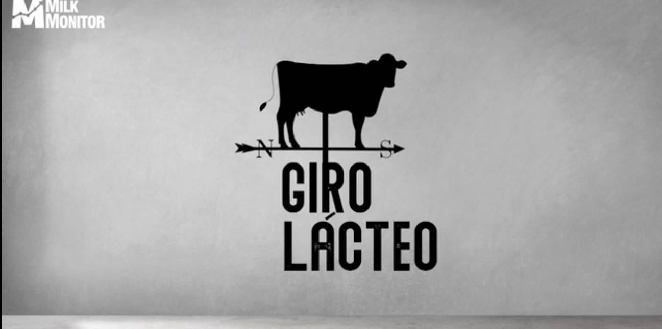 Giro Lácteo: como os últimos movimentos do mercado afetam o negócio do produtor?