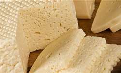 742 kg de queijos são apreendidos em Caseara e na TO-050
