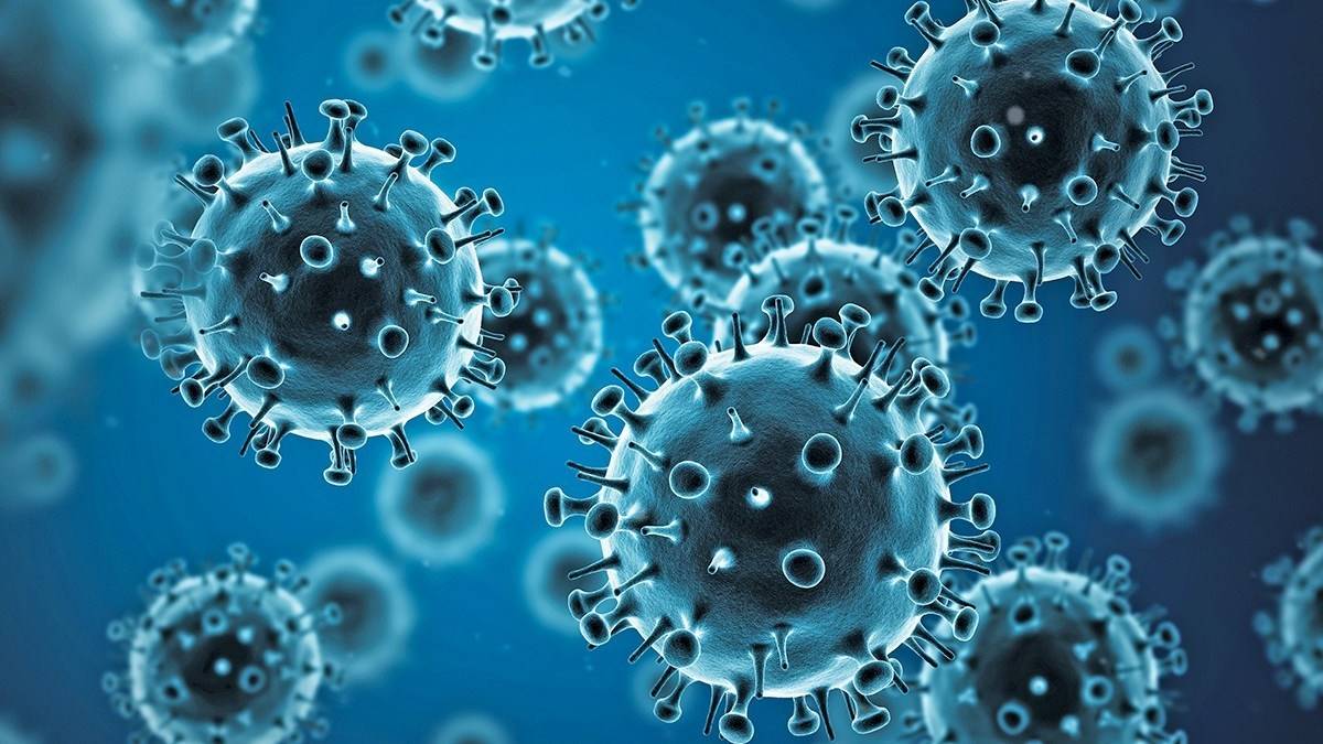 Estudo descobriu que ingredientes derivados do leite são eficazes contra vírus da influenza